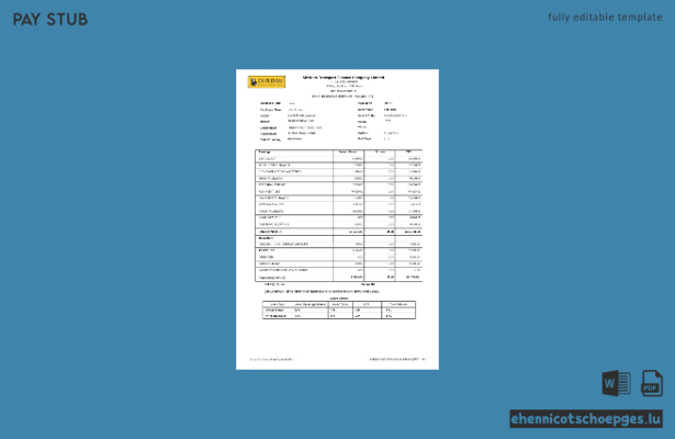 Gehaltsabrechnungsbeispiel der India Shriram Transport Finance Company Limited